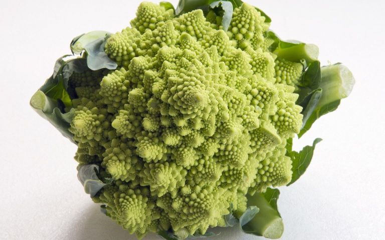 Recette de quiche au chou romanesco et lardons